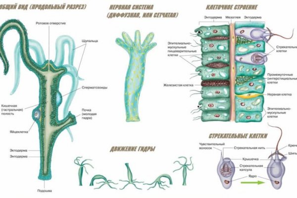 Kraken сайт krmp.cc onion