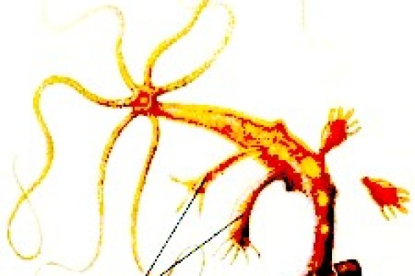 Vk8 at кракен рабочий