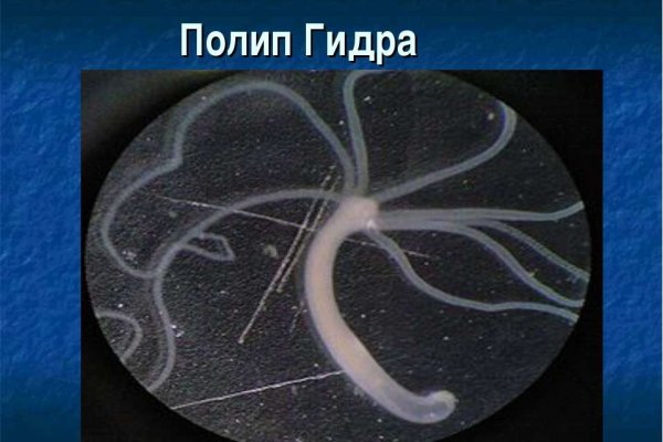 Через какой браузер заходить на кракен